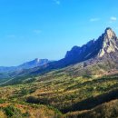 (주)모던항공여행사 이미지