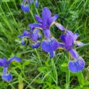 상석목장 이미지