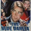 블루달리아(BLUE DAHLIA)