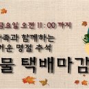 법인뜨락 이미지