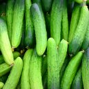 다대2동-10 이미지