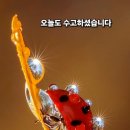 고운얼굴