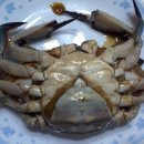 밥도둑 이미지