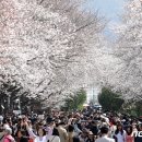 진해구 ⓒ-27 이미지