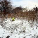 노곡리농장 이미지