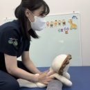 정특수체육센터 이미지