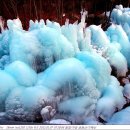 금원산자연휴양림 이미지