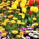 포스코약국 이미지