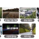 단양군시티투어 이미지