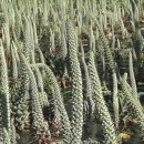 이엠한의원 이미지