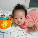 별별토스트