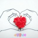 전박사 이미지