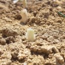 금파농장 이미지