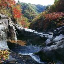 장수유기질 이미지