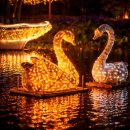 (주)코리아세븐태안점 | [충남/태안]봄에 가기 좋은 튤립 명소::2026 태안 튤립축제