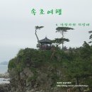 정자그린카 | 속초여행 5. 낙산사와 의상대 (낙산해수욕장, 그린카 이용후기)