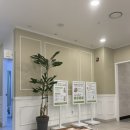 별내마리산부인과건강기능식품 | 나팔관조영술 후기 ㅣ 별내마리산부인과