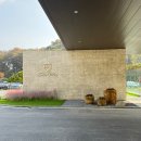 라운딩 | 경기도 골프장 크리스밸리CC, 시범 라운딩 후기