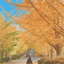 공주교도소부속의원 이미지