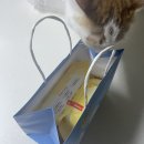 이삭토스트 동수역점 이미지