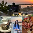 [Slowly In Forest] 시흥 거북섬 오션뷰 맛집 창가 자리 예약 필수 (메뉴, 와인 리스트)