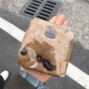 보리떡식당 이미지