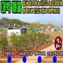 여주-0222 네이버블로그