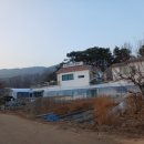 칠보산오리 이미지