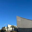 [제주 여행] 제주 중문 숙소추천 | 제주도 숙소 | 야크마을 제주 | 리빙스위트