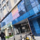 동물심장병원 진심 | 대구 진심동물심장병원 후기/강아지 이첨판폐쇄증/대구 심장전문 동물병원