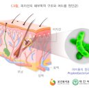 인천감초당한의원 이미지