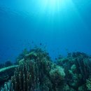 제주해양동물박물관 이미지