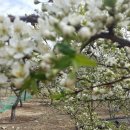 안곡농장 이미지