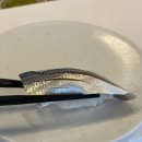 스시크레 이미지