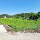 영천공용버스터미널 이미지