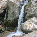 태봉리 330-6번지 앞 | 주금산~개주산 철쪽꽃이 예쁘더라 !!