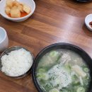 슬픔은 간이역의 코스모스로 피고