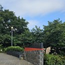 서귀동-31 이미지