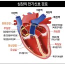 고려대학교 안암병원 - 10366 | 고려대학교 안암병원