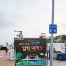 바다가 보이는 부산항 힐링 야영장 | 부산캠핑장 바다가보이는 부산항 힐링 야영장