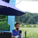 메밀리