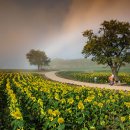 연천호로고루 이미지