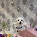 제이앤제이 그루밍 이미지