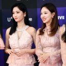 모모 이미지
