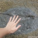 고성공룡박물관야영장 이미지