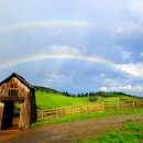 (주)무지개반사 이미지