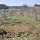 판교농장 이미지