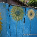 개미환경자원 이미지