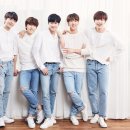 자비시 (JAVISI) 이미지