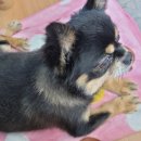 와니동물병원 이미지